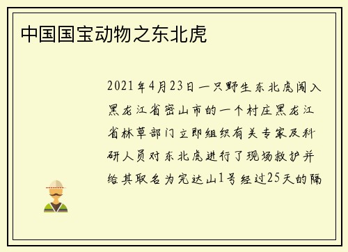 中国国宝动物之东北虎