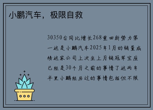 小鹏汽车，极限自救