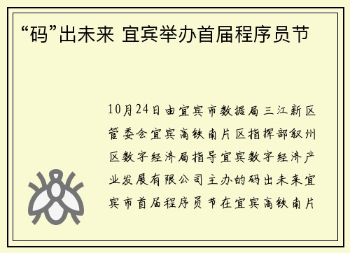 “码”出未来 宜宾举办首届程序员节