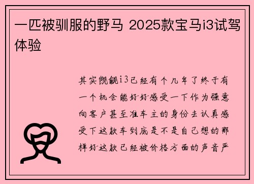 一匹被驯服的野马 2025款宝马i3试驾体验