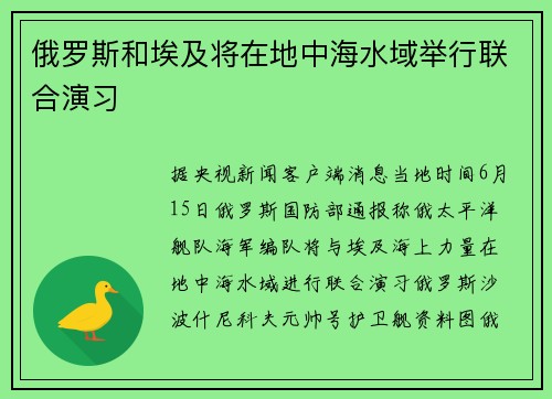 俄罗斯和埃及将在地中海水域举行联合演习